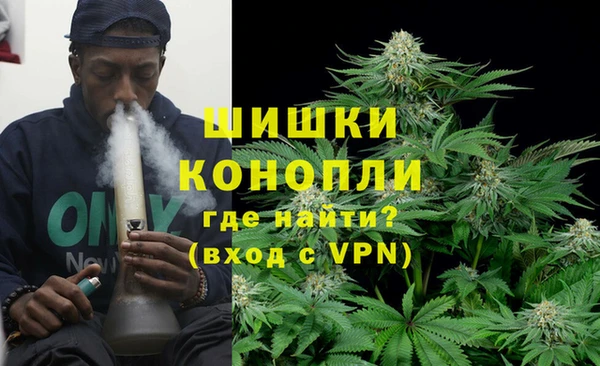 амф Верхний Тагил