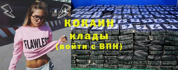 шишки Волоколамск