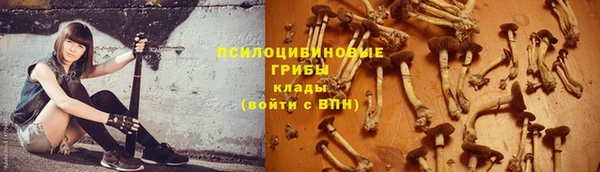 прущий лед Пролетарск