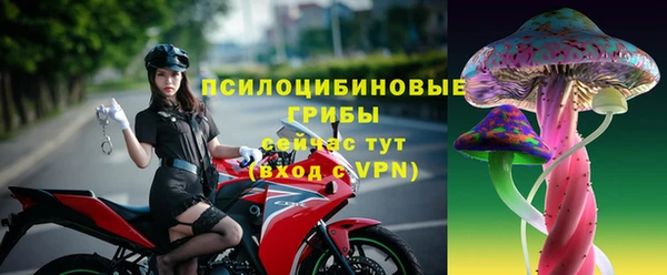 шишки Волоколамск
